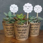 Rótulos e Tags para Suculentas - Casamento