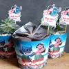 Lembrancinhas com suculentas lilo e stitch